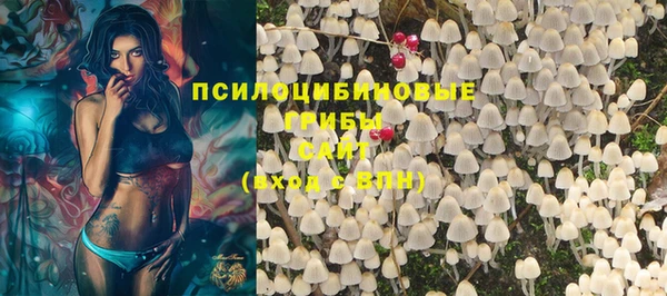 соль курить ск Алзамай
