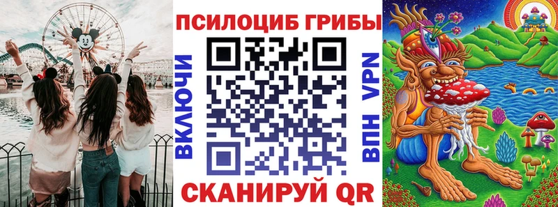 блэк спрут маркетплейс  Щёлкино  Псилоцибиновые грибы Psilocybe 